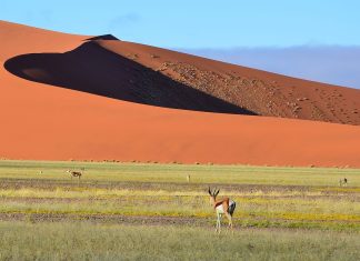 Le pouvoir infini de la Foi