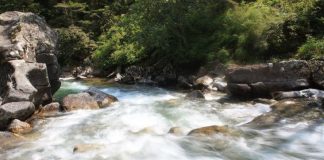 Un Message aux Porteurs de Lumière – 29 Juillet 2022