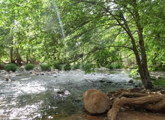 Le pardon est synonyme de liberté