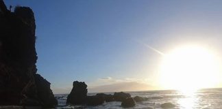 Le Créateur – Possédez-le !