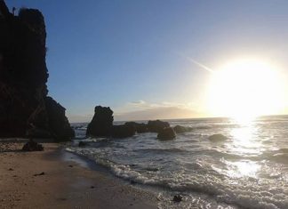 Le Créateur – Possédez-le !