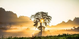 Métatron, Melchisédech et Michaël – L’énergie des noms Divins
