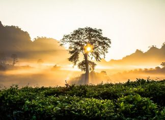 Métatron, Melchisédech et Michaël – L’énergie des noms Divins