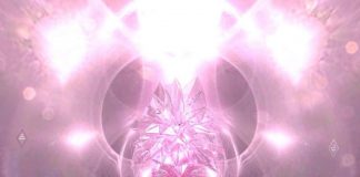 La Fédération de la Lumière : Éveil des âmes