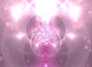 La Fédération de la Lumière : Éveil des âmes