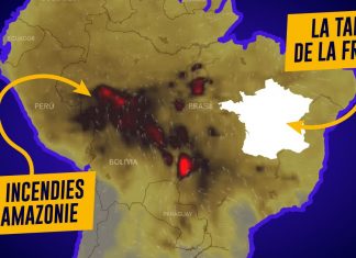 L’Amazonie – Poumon de l’Ascension