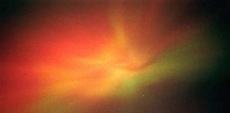 Laissez la Douceur être, grandir et s’exprimer en vous !