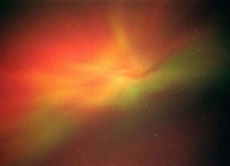 Laissez la Douceur être, grandir et s’exprimer en vous !