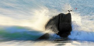 Comment sortir du cycle de la violence