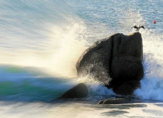 Comment sortir du cycle de la violence