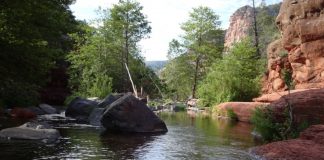 Concentration, liberté et scintillement