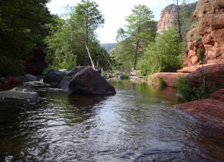 Concentration, liberté et scintillement