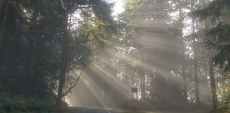 Le Créateur – Dégagement