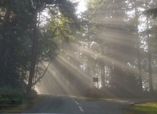 Le Créateur – Dégagement