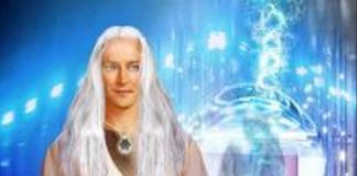 Ivo de Vega : Assumer ses responsabilités