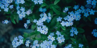 L’effort peut se dissoudre