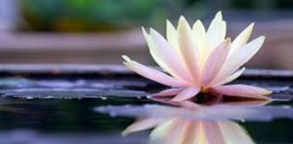 Le Créateur – Magnifique !