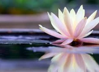 Le Créateur – Magnifique !