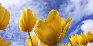 Vous avez toutes les raisons de célébrer