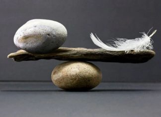 Établissement de l’Équilibre Vibratoire