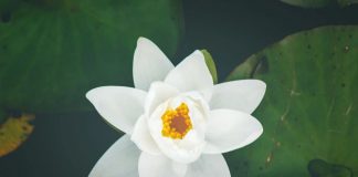 Concentrez-vous sur notre connexion