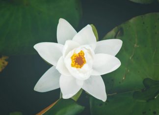 Concentrez-vous sur notre connexion