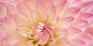 Demandez-nous de le prouver