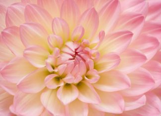 Demandez-nous de le prouver