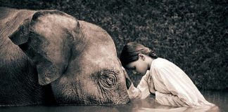 Initiation vers la grande humilité!