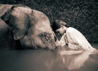 Initiation vers la grande humilité!