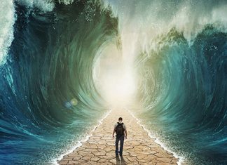 Sananda – Comment créer des Miracles (Partie 2)