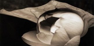 Le Créateur – Quel Est Le Plan ?