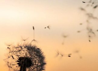 Pratique 45 – L’amour me libère du passé