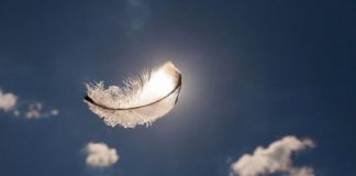 Le Créateur – Votre Chemin