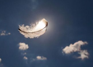 Le Créateur – Votre Chemin