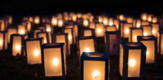 L’Human-Unité, la Fraternité de la Nouvelle Lumière !