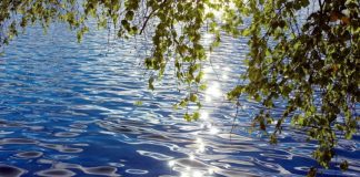 Le Créateur – La Manière De Devenir…..