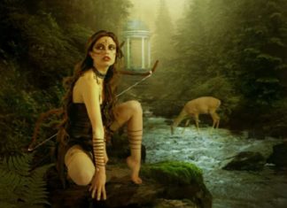 Quand on sort de l’incarnation de l’humanité en 3D, on voit clairement