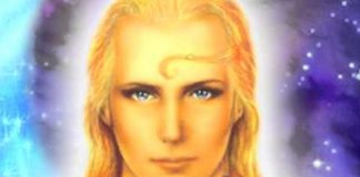 Les Trois Phases d’Immersion : Partie 7/7 – Combien de vies avez-vous eues ?