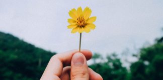 Faites confiance à ce qui est digne de confiance