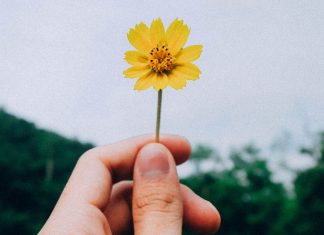 Faites confiance à ce qui est digne de confiance