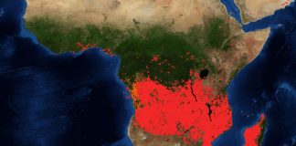 L’Afrique maintenant ?