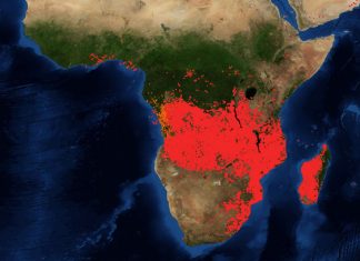 L’Afrique maintenant ?