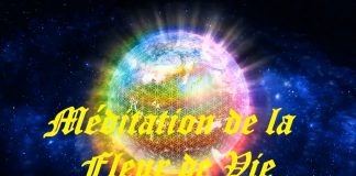 Méditation de la Fleur de Vie