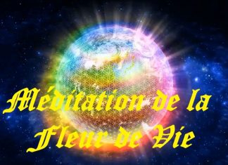 Méditation de la Fleur de Vie