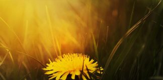 La façade fragile de l’Ego