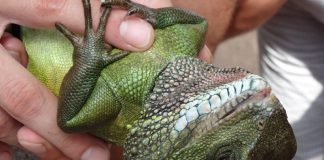 S’ouvrir à la Synchronicité