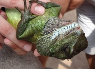 S’ouvrir à la Synchronicité