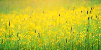 Vous êtes à la maison en ce moment même