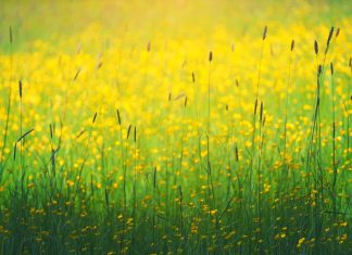 Vous êtes à la maison en ce moment même